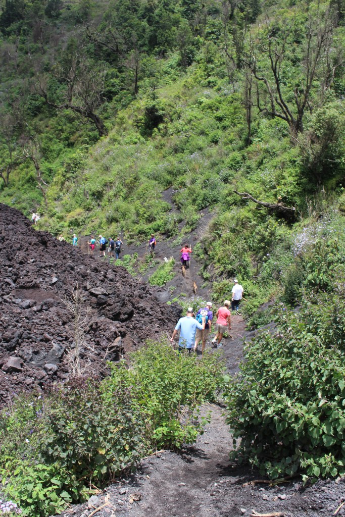 Headed down to roast marshmellows!