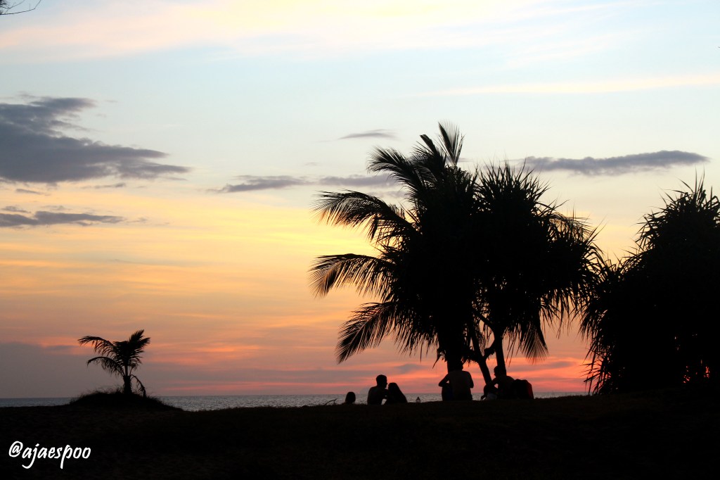 Top 20 Favorite Pictures From My Camera in 2017