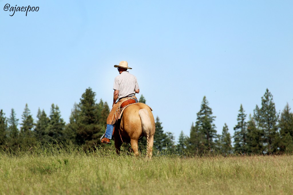 Pendleton Round-Up Wagon Train: “Horsemanship is in the&nbsp;Details”