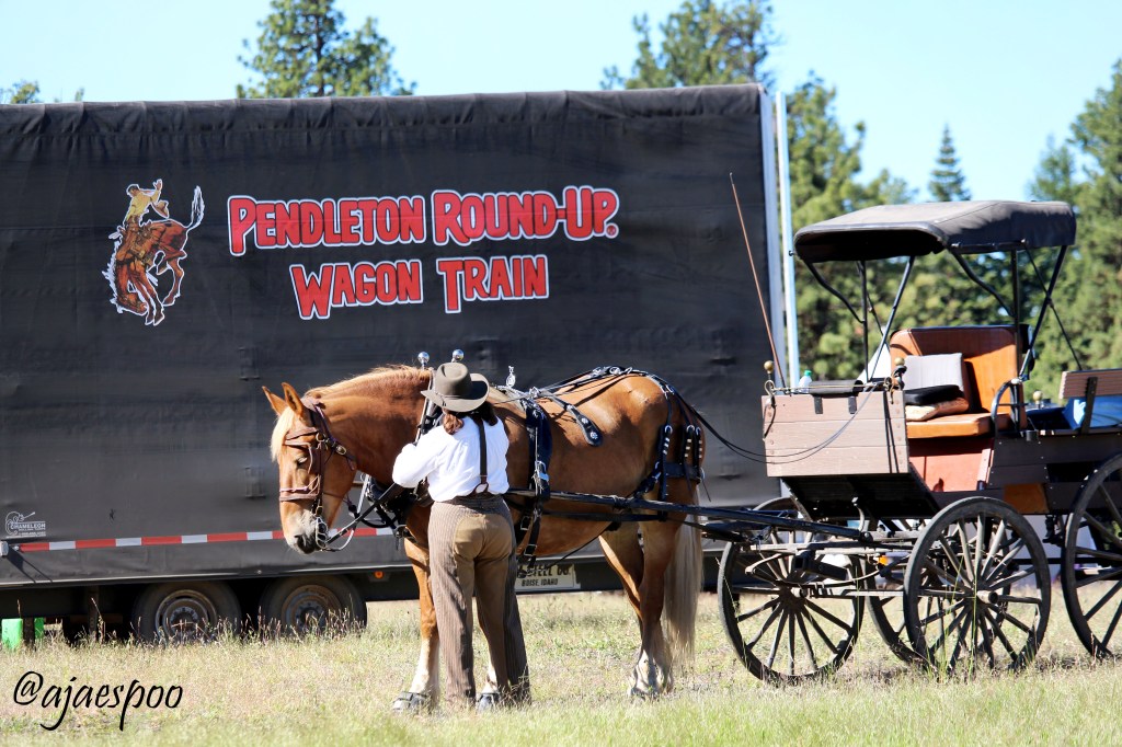 Pendleton Round-Up Wagon Train: “Circling the&nbsp;Wagons”