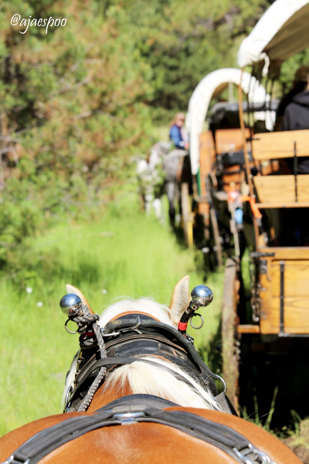 Pendleton Round-Up Wagon Train: “On the&nbsp;Trail”