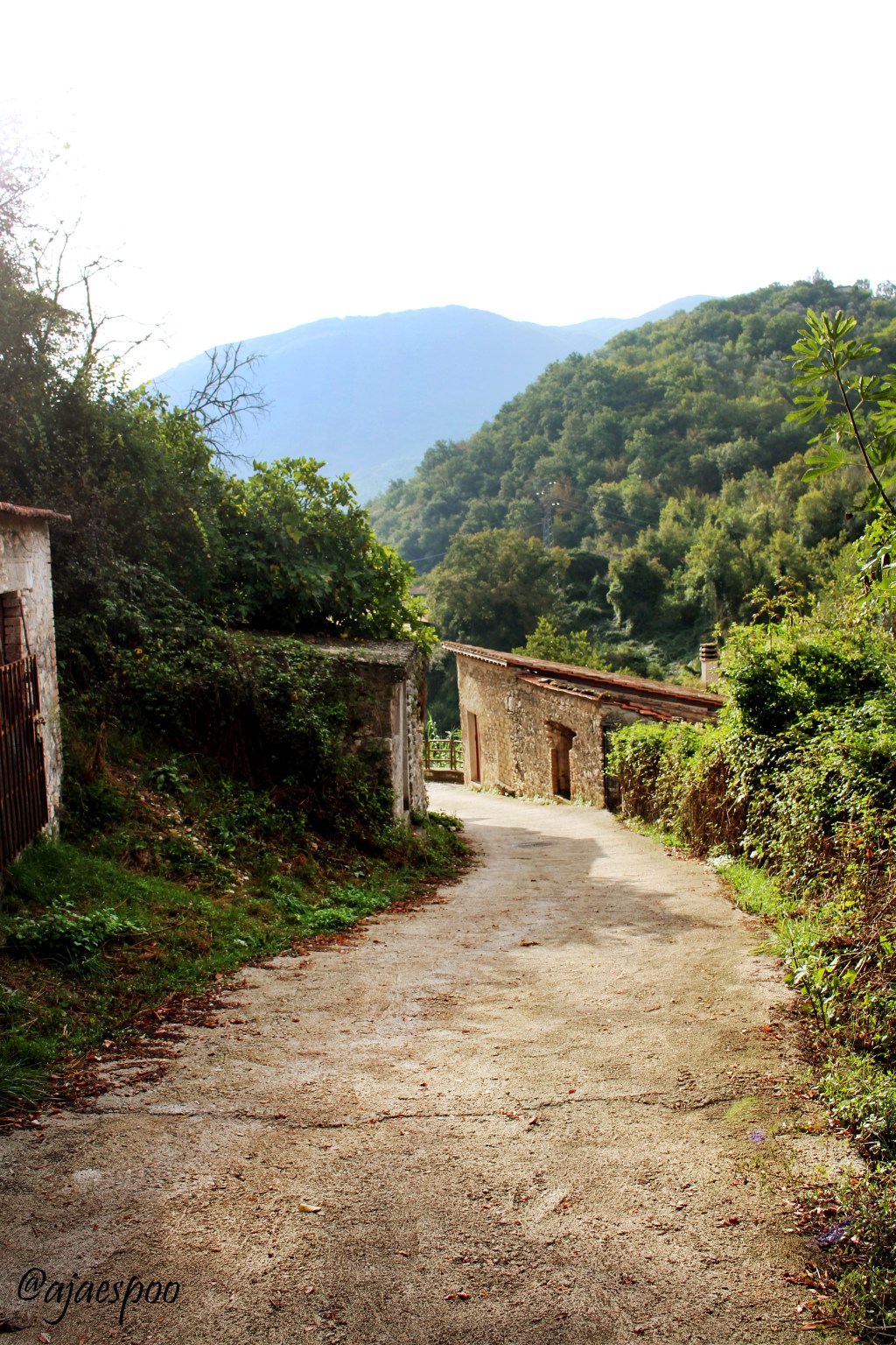 Travel Journal: Italy – Self-Guided Walk Day&nbsp;3