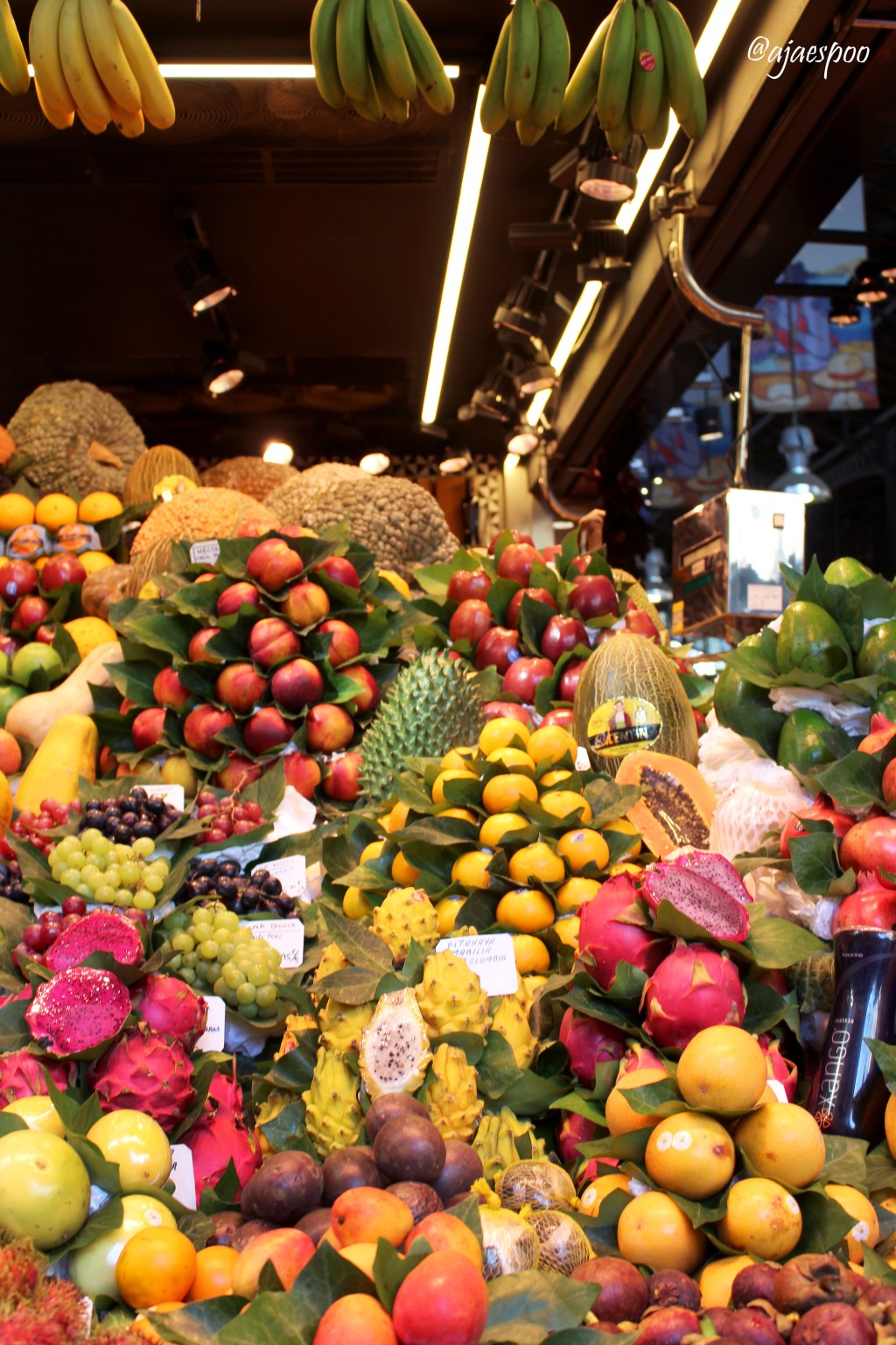 Travel Journal: Gothic Quarter and the Mercat de la Boqueria – Spain