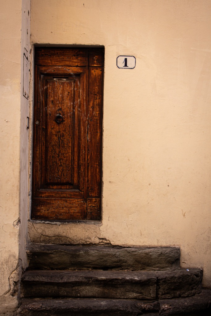 brown rustic door in Florence, Italy March 2024