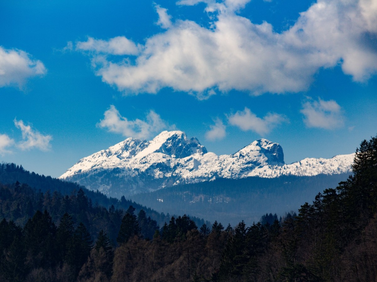 Notes from Lake&nbsp;Bled