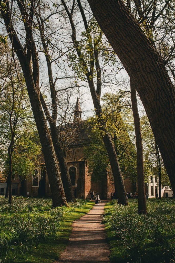 Beguinage Ten Wijngaerde in Bruges, Belgium, April 2024
