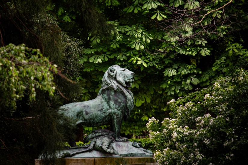 Lion statue in Jardin du Luxembourg in Paris, France, April 2024