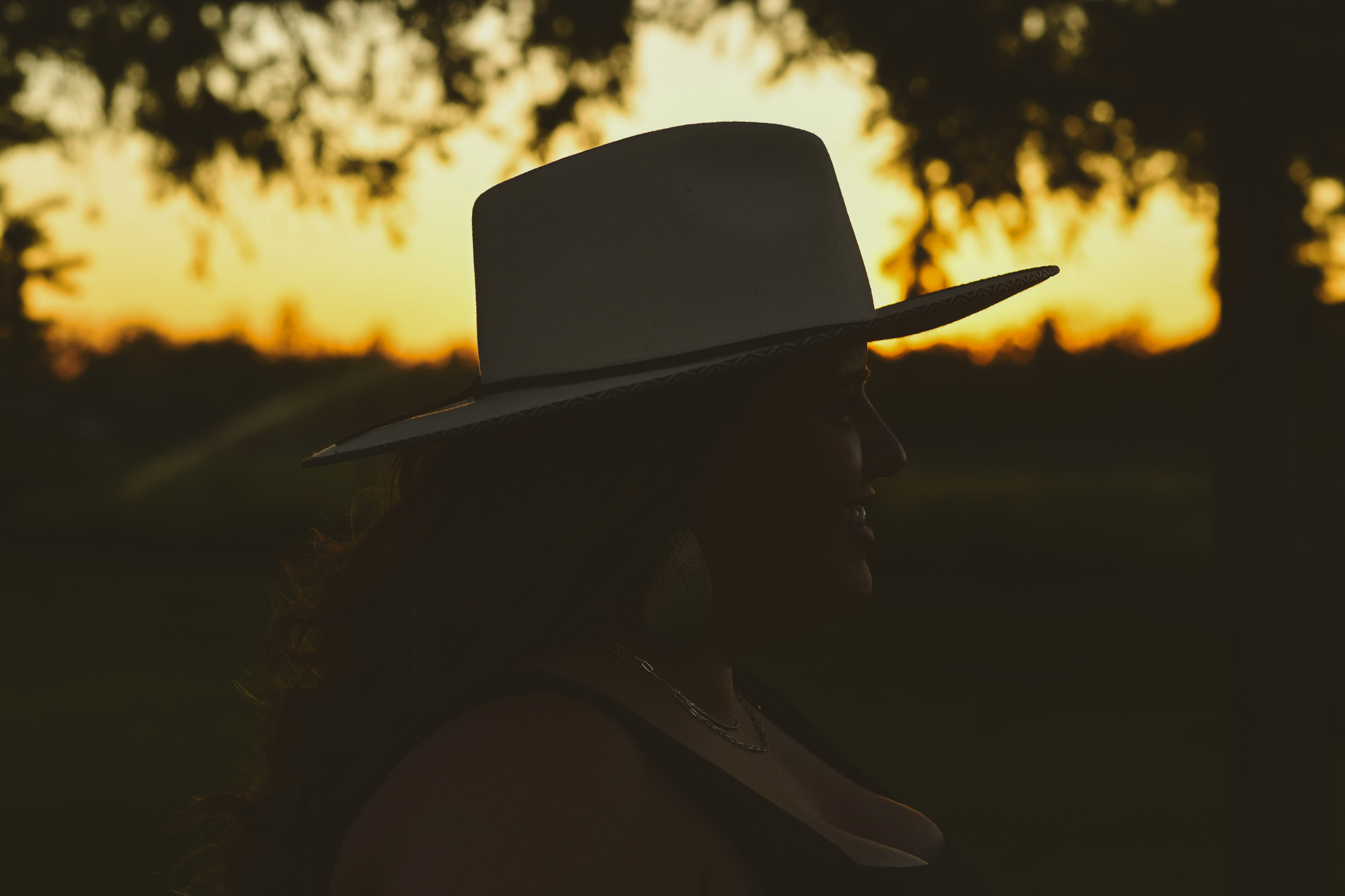 western sunset silhouette background