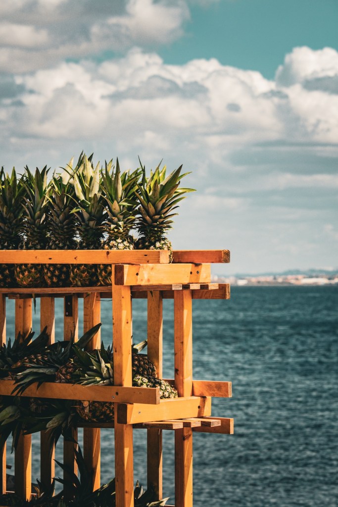 Pineapple stand along the Tagus River in Lisbon, Portugal, April 2024